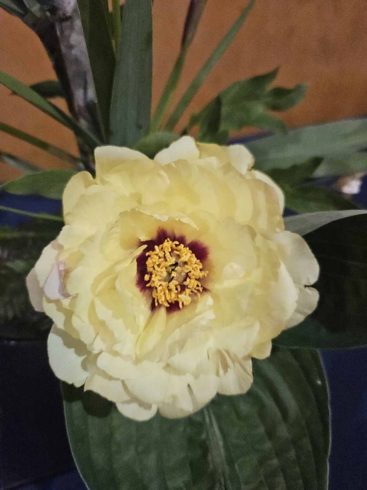services-06 beautiful-yellow-flower-in-gardening-pot-flowers-gardening