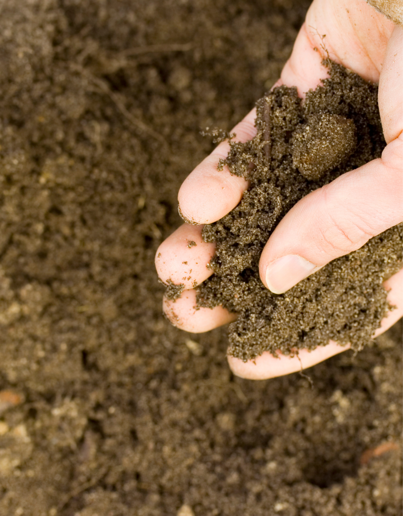 second-chance-gardening-gardening-and-maintenance-soil second-chance-gardening-gardening-and-maintenance-soil