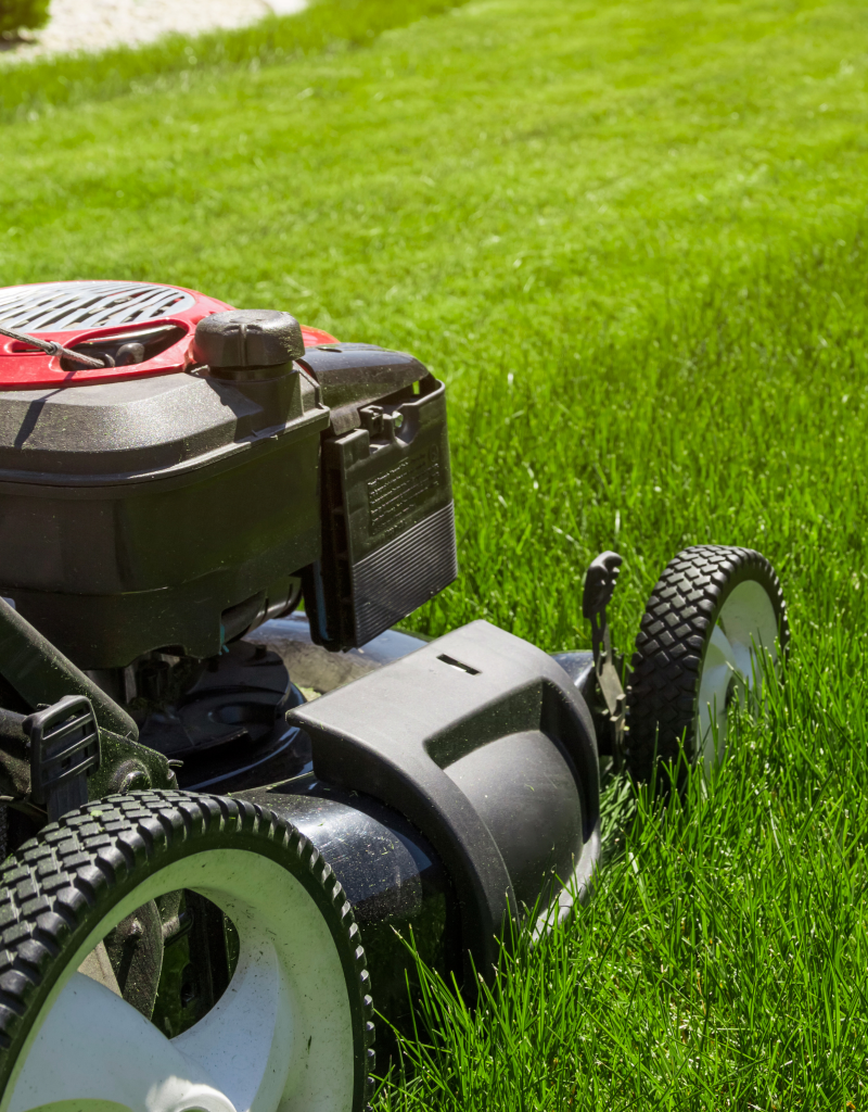 second-chance-gardening-lawn-care 2 second-chance-gardening-lawn-care 2